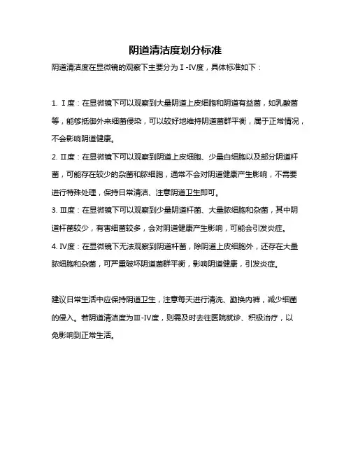 阴道清洁度划分标准