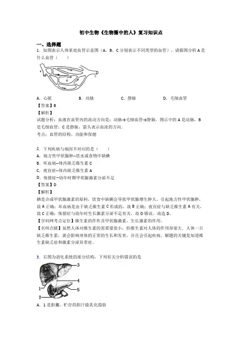 初中生物《生物圈中的人》复习知识点