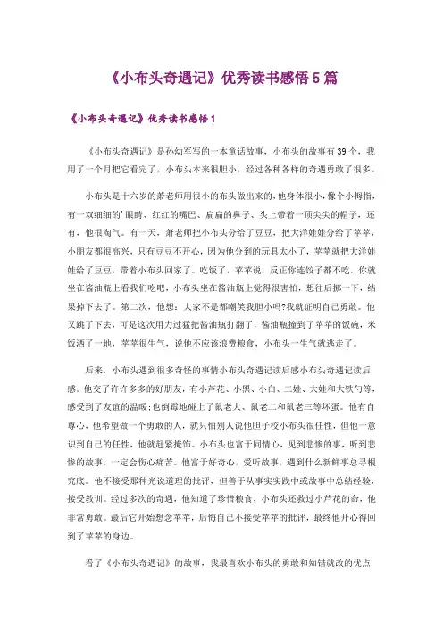 《小布头奇遇记》优秀读书感悟5篇