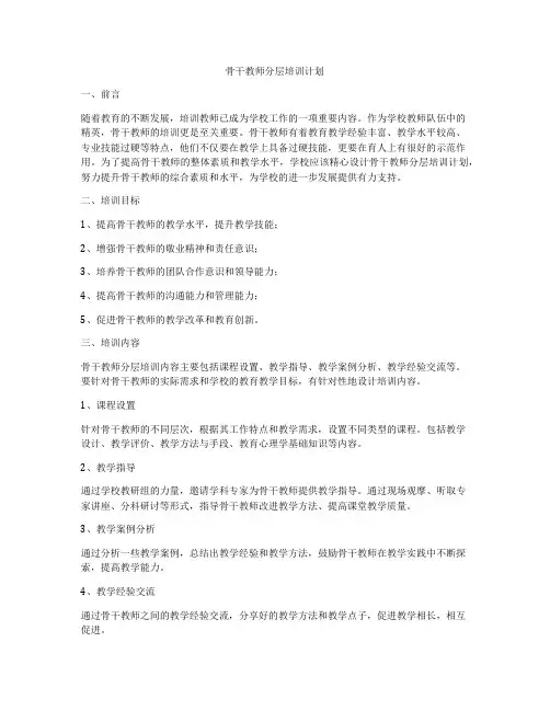 骨干教师分层培训计划