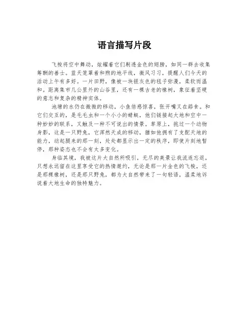 语言描写片段