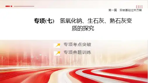 2025年中考化学一轮复习(安徽专版)专项(07)：氢氧化钠、生石灰、熟石灰变质的探究课件