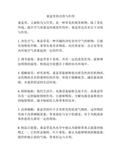 垂盆草的功效与作用