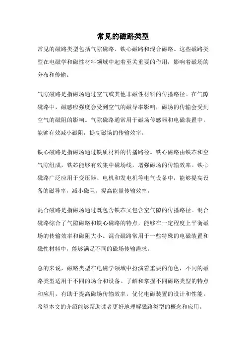 常见的磁路类型