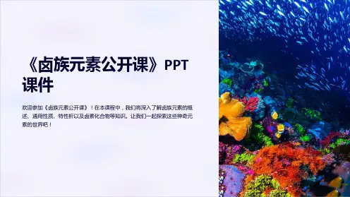《卤族元素公开课》课件