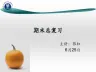 光学总复习