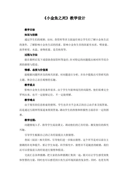 《小金鱼之死》设计