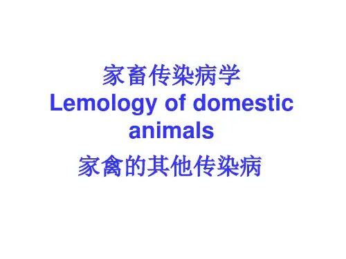 18其他家禽传染病【40页】
