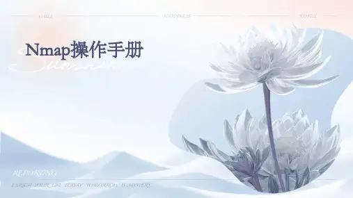 nmap操作手册