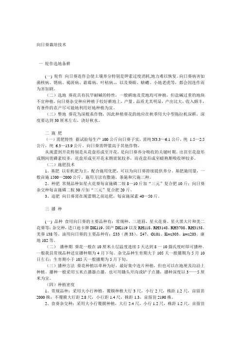 向日葵的栽培技术