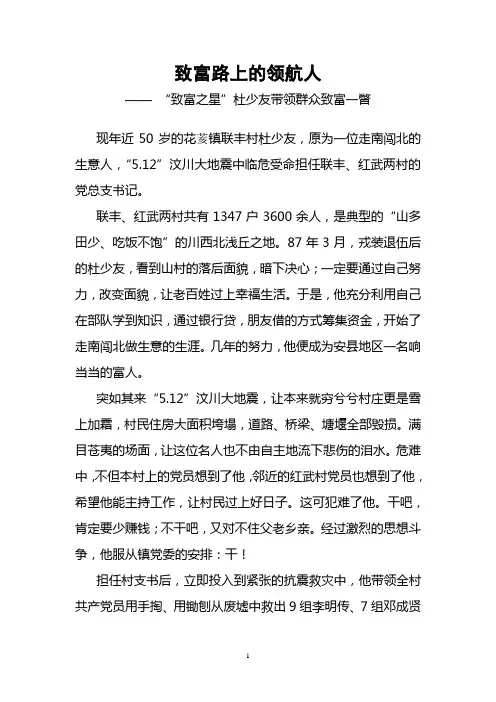 致富路上的领航人(改)