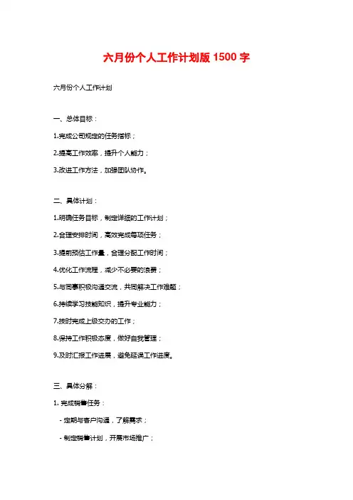 六月份个人工作计划版