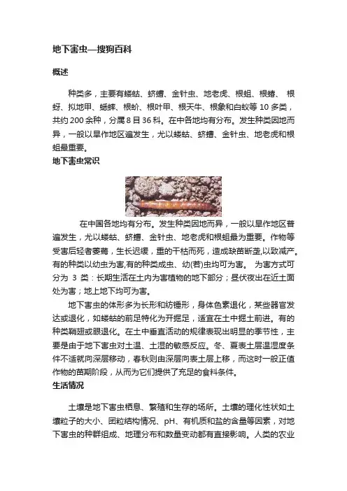 地下害虫—搜狗百科