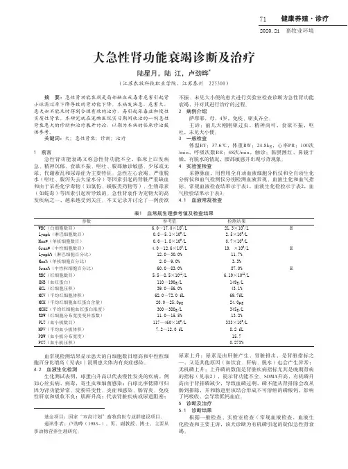 犬急性肾功能衰竭诊断及治疗