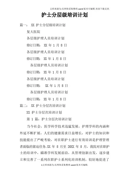 护士分层级培训计划doc