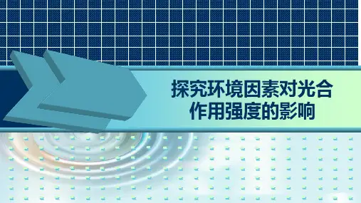 高中生物《光合作用》公开课PPT课件