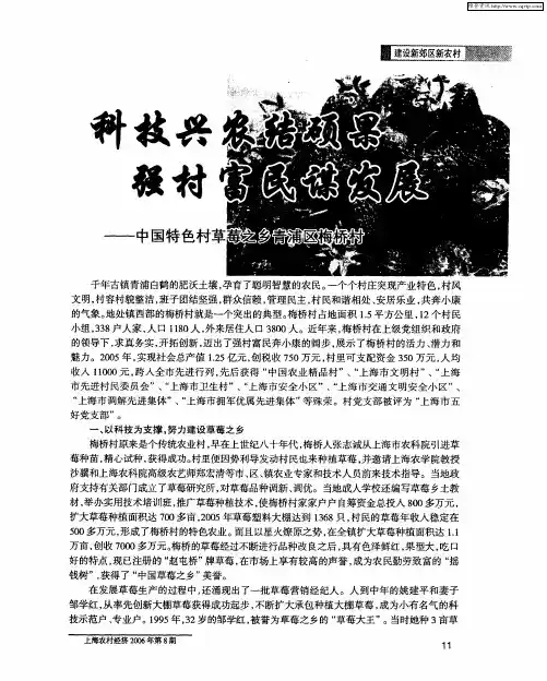科技兴农结硕果 强村富民谋发展——中国特色村草莓之乡青浦区梅桥村