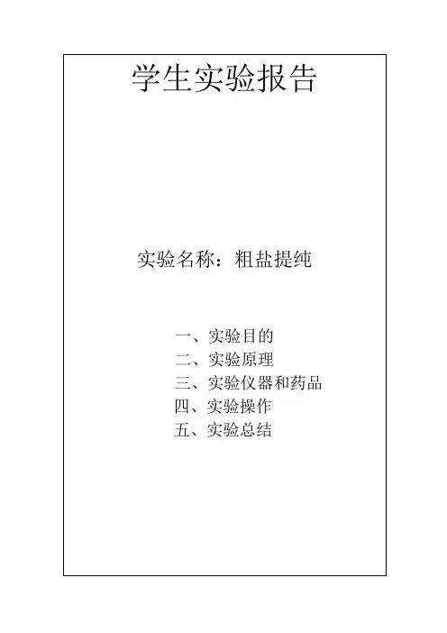 粗盐提纯实验报告