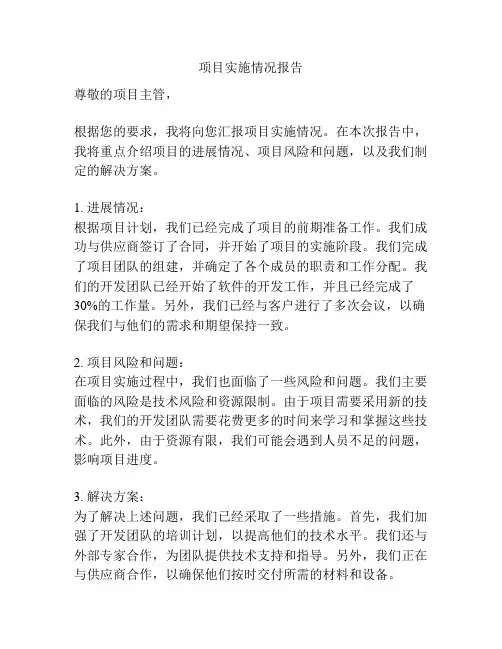 项目实施情况报告