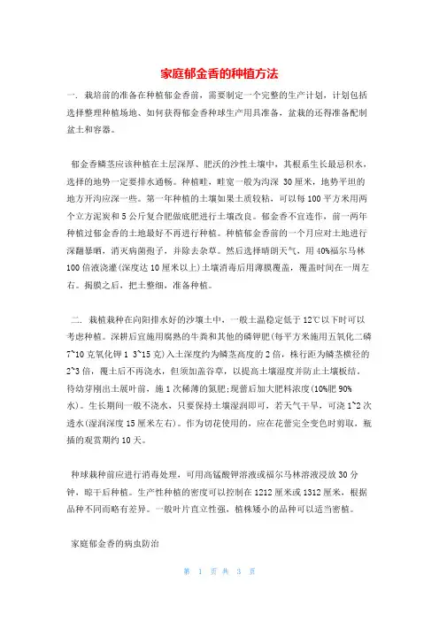 家庭郁金香的种植方法