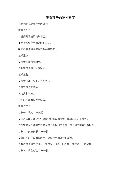 观察种子的结构教案