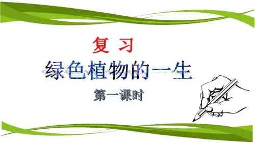 绿色植物的一生 复习课件