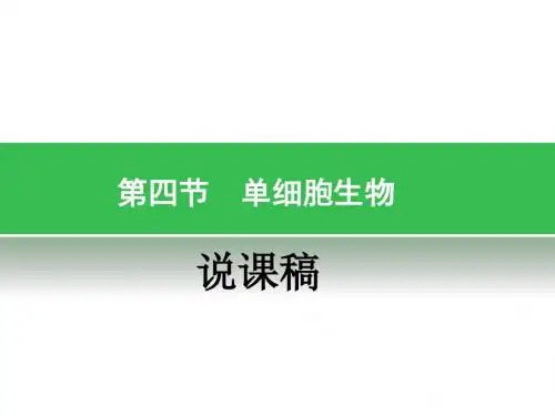 单细胞生物说课课件
