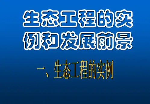 生态工程的实例和应用
