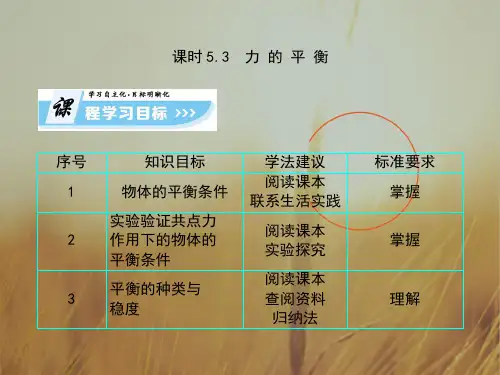 最新-高中物理必修一教学课件：第5章 53 精品