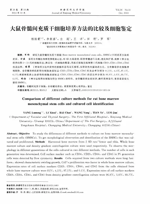 大鼠骨髓间充质干细胞培养方法的比较及细胞鉴定