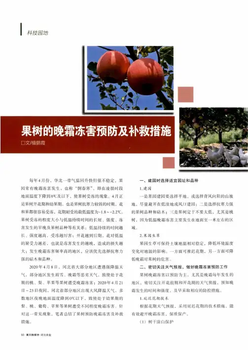 果树的晚霜冻害预防及补救措施
