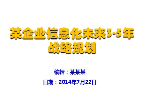 某公司信息化5战略规划