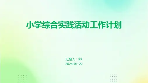 小学综合实践活动工作计划