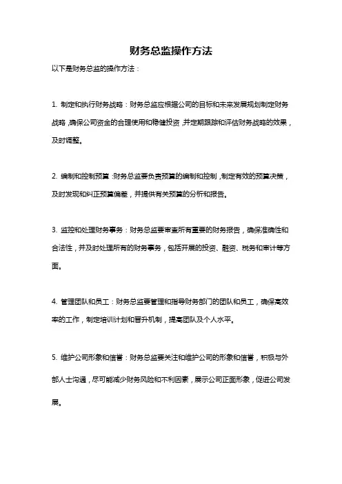 财务总监操作方法