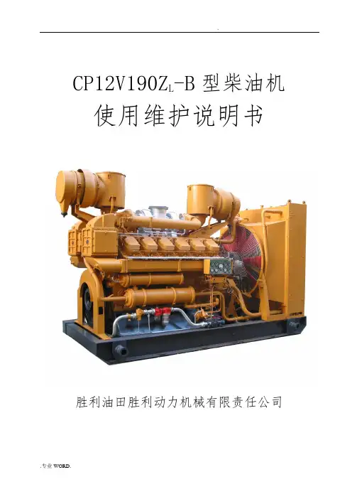 CP12V190ZL-B型柴油机使用说明书
