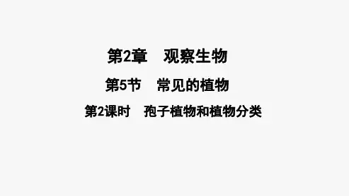 浙教版科学《常见的植物》_(ppt)1