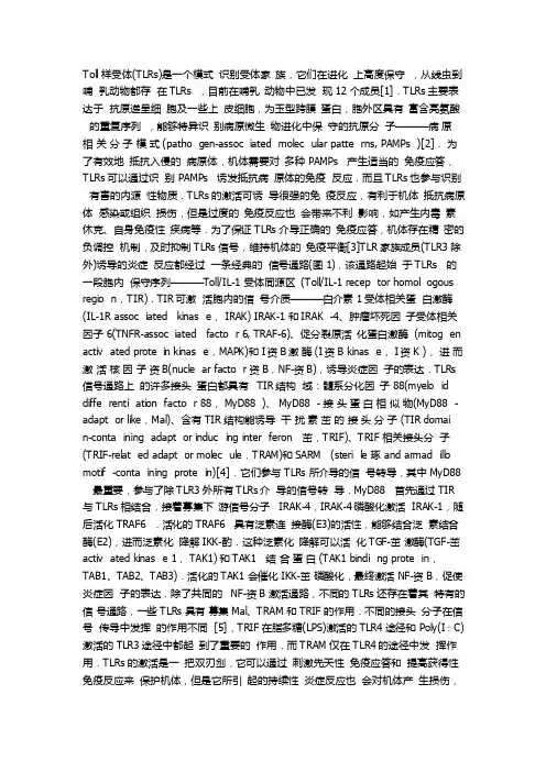 toll样受体信号通路