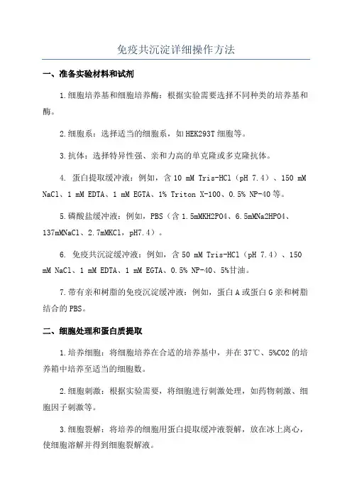 免疫共沉淀详细操作方法