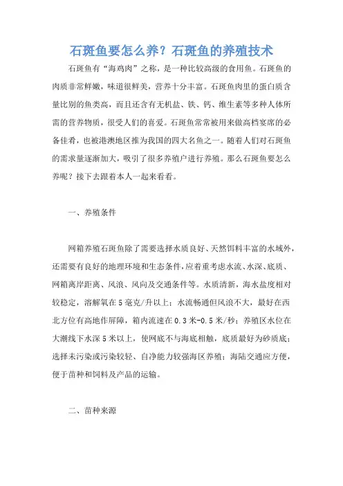 石斑鱼要怎么养？石斑鱼的养殖技术