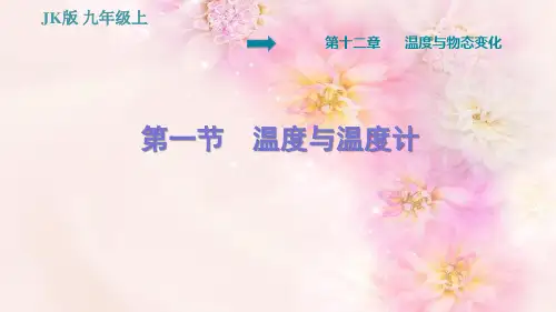 温度与温度计教学课件