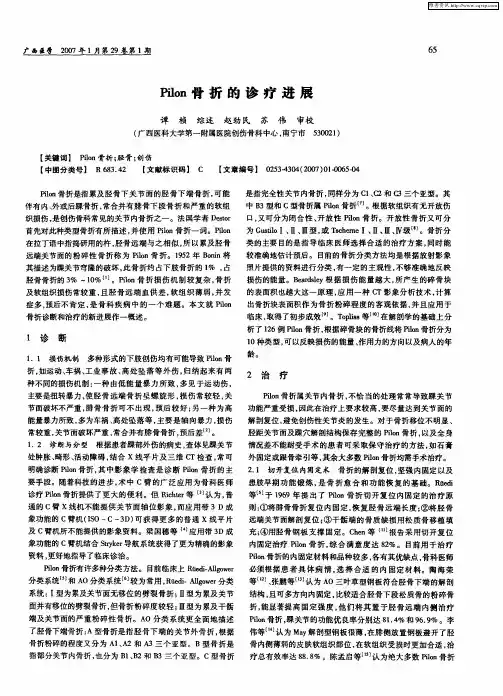 Pilon骨折的诊疗进展
