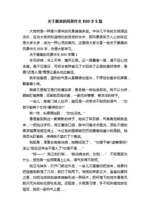 关于最美的风景作文800字5篇