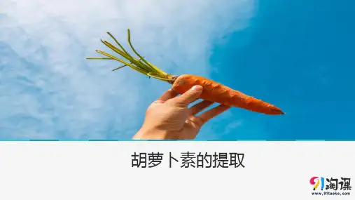 课件13：6.2 胡萝卜素的提取