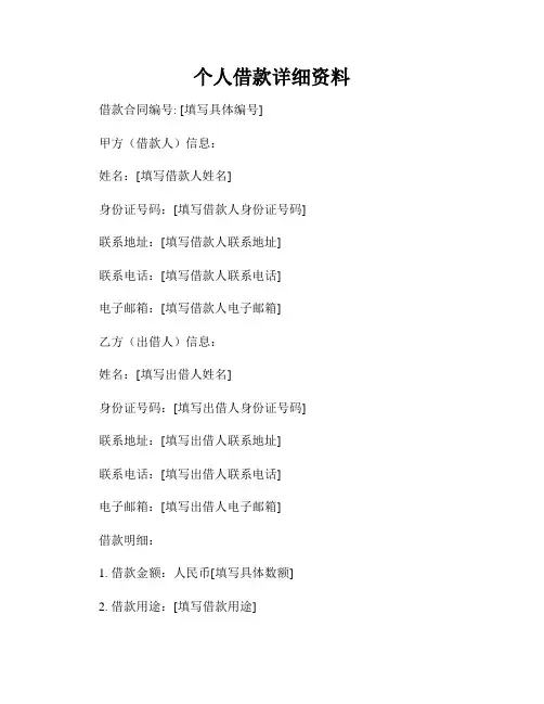 个人借款详细资料