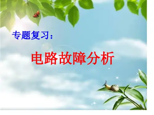 电路故障分析专题