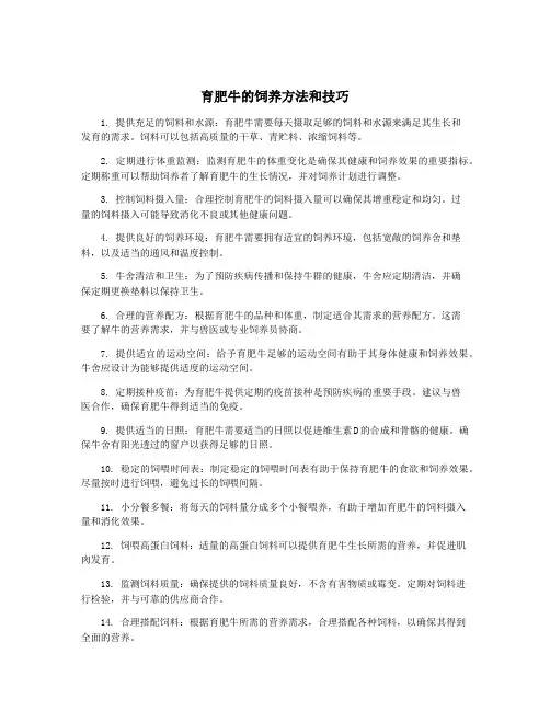 育肥牛的饲养方法和技巧