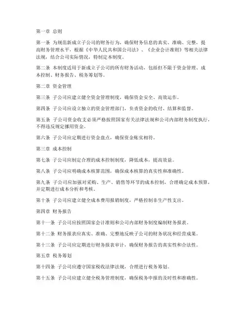 新成立的子公司的财务管理制度