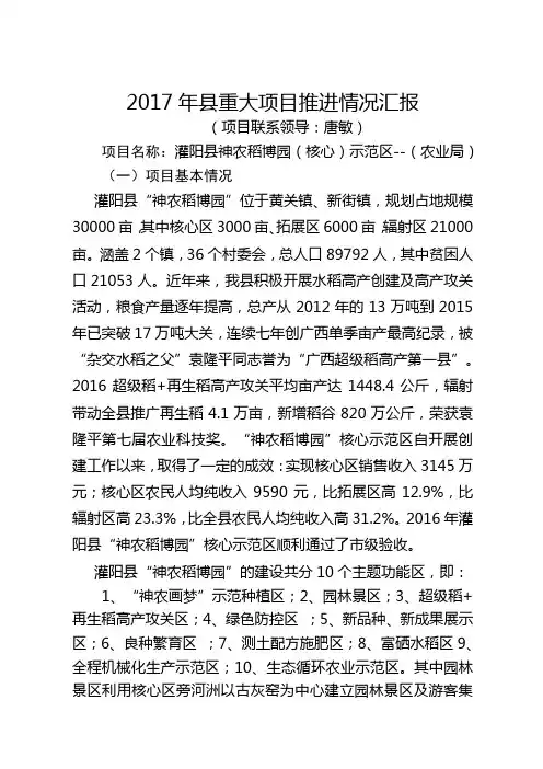 2017年重大项目推进情况汇报