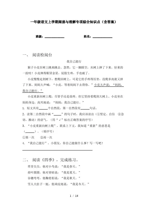 一年级语文上学期阅读与理解专项综合知识点(含答案)