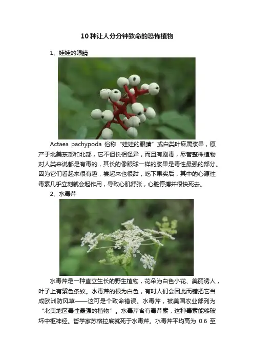 10种让人分分钟致命的恐怖植物